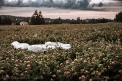 svatebni-foto_male_054