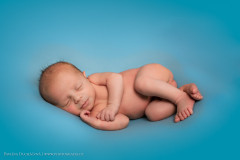 photografia24_male_020
