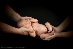 photografia24_male_054
