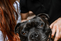 photografia24_male_034